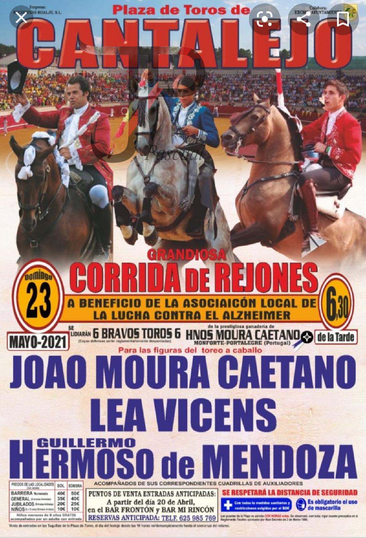 Imagen no cargada