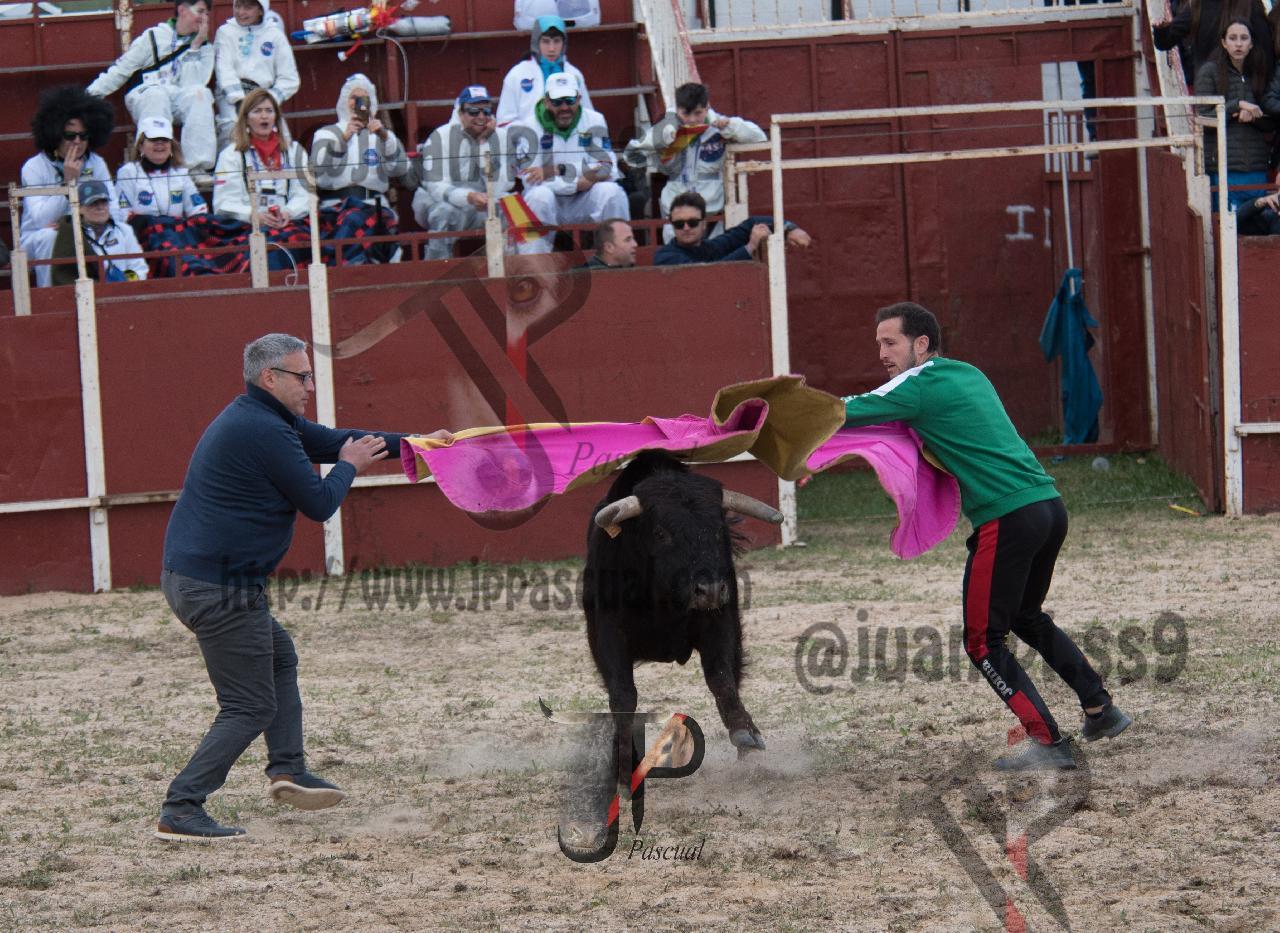 Imagen no cargada