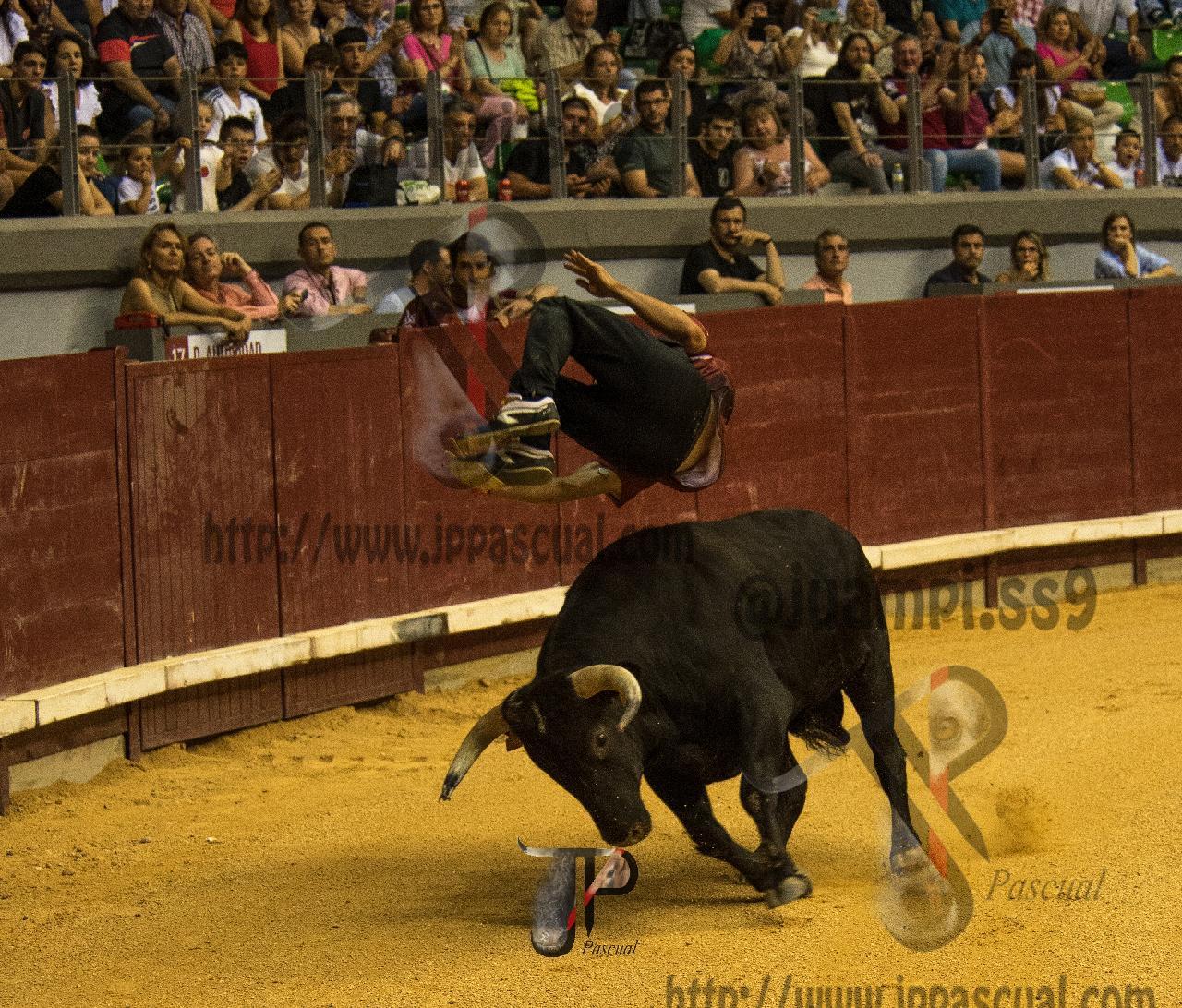 Imagen no cargada