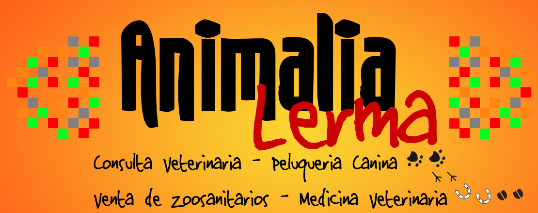 banner.png